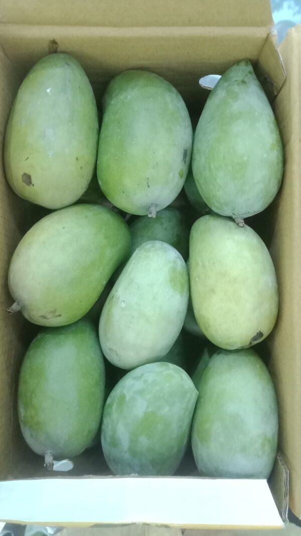 Organic Kutch Kesar Mango - 5 KG